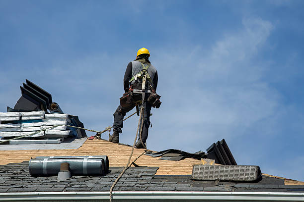 Professional Roof Replacement technician working in DeWitt, AR